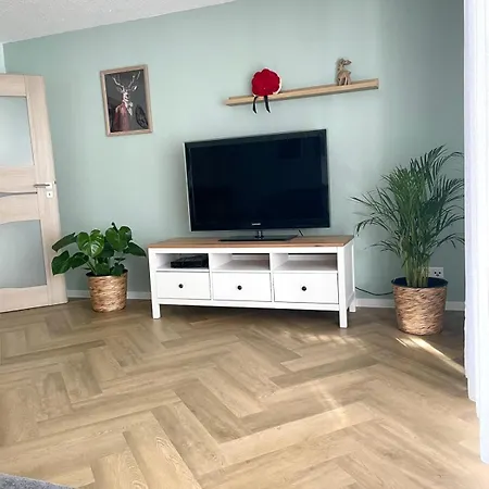 Apartment Mrhirsch *