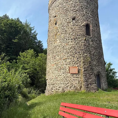 Апартаменты Mrhirsch