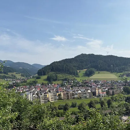 Apartamento Mrhirsch Hausach