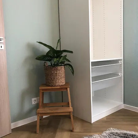 Mrhirsch * هاوزاخ