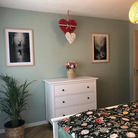 Mrhirsch * هاوزاخ